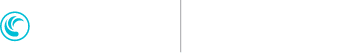 TD Synnex NetApp Logo